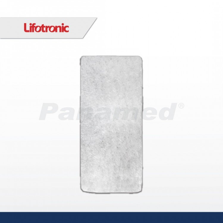 Air Filter (For Lifotronic)